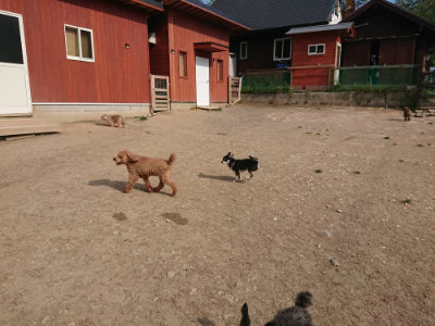 f:id:roukenhome-ann:20190512192123j:plain