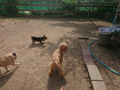 f:id:roukenhome-ann:20190512192127j:plain