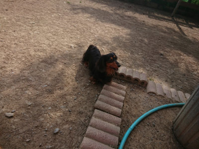 f:id:roukenhome-ann:20190512192217j:plain