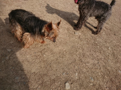 f:id:roukenhome-ann:20190512192228j:plain