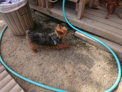 f:id:roukenhome-ann:20190512192238j:plain