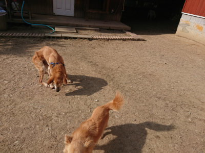 f:id:roukenhome-ann:20190512192259j:plain