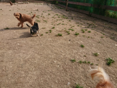 f:id:roukenhome-ann:20190512192310j:plain