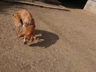 f:id:roukenhome-ann:20190512192324j:plain