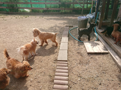 f:id:roukenhome-ann:20190512192332j:plain