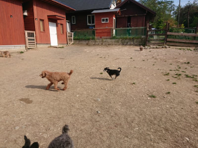 f:id:roukenhome-ann:20190512192342j:plain