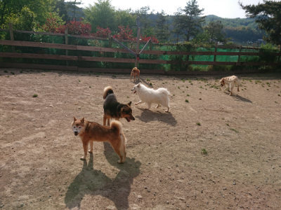 f:id:roukenhome-ann:20190512192354j:plain