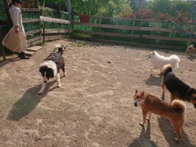 f:id:roukenhome-ann:20190512192411j:plain