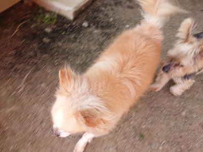 f:id:roukenhome-ann:20190512192420j:plain