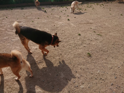 f:id:roukenhome-ann:20190512192426j:plain