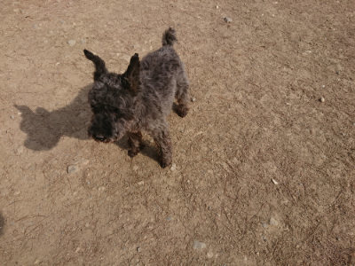 f:id:roukenhome-ann:20190512192436j:plain