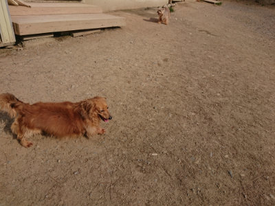 f:id:roukenhome-ann:20190512192525j:plain