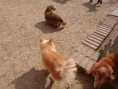 f:id:roukenhome-ann:20190512192532j:plain
