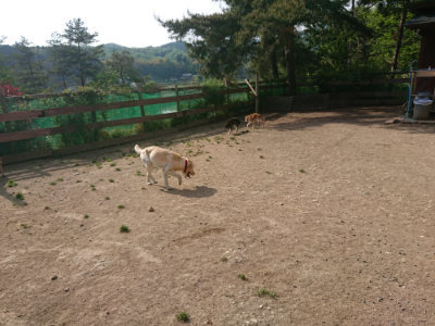 f:id:roukenhome-ann:20190512192537j:plain