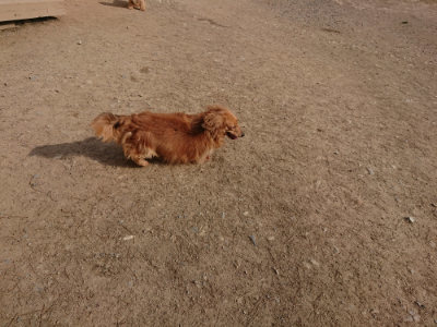 f:id:roukenhome-ann:20190512192542j:plain