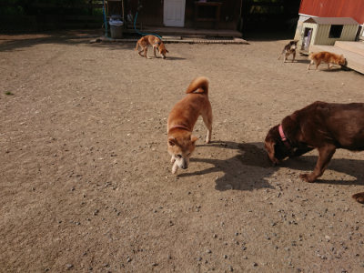 f:id:roukenhome-ann:20190512192547j:plain