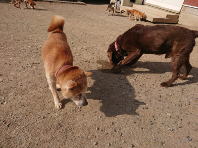 f:id:roukenhome-ann:20190512192552j:plain