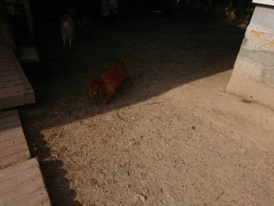 f:id:roukenhome-ann:20190512192558j:plain