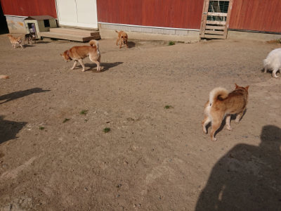 f:id:roukenhome-ann:20190512192705j:plain
