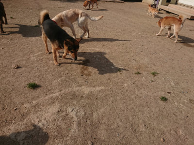 f:id:roukenhome-ann:20190512192710j:plain