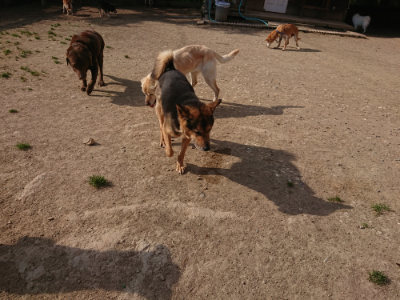 f:id:roukenhome-ann:20190512192715j:plain