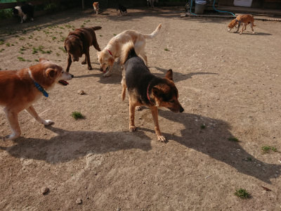 f:id:roukenhome-ann:20190512192721j:plain