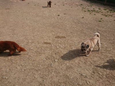 f:id:roukenhome-ann:20190512192732j:plain