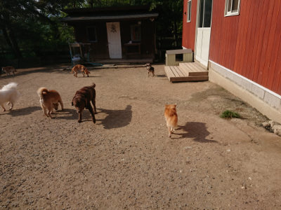 f:id:roukenhome-ann:20190512192747j:plain