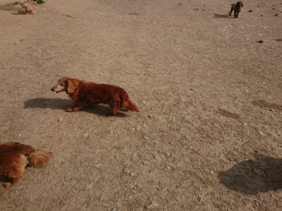 f:id:roukenhome-ann:20190512192752j:plain