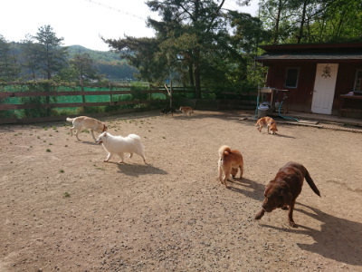 f:id:roukenhome-ann:20190512192805j:plain