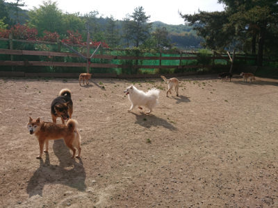f:id:roukenhome-ann:20190512192822j:plain
