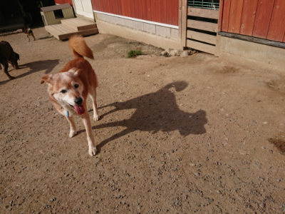 f:id:roukenhome-ann:20190512192842j:plain