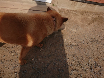 f:id:roukenhome-ann:20190512192846j:plain