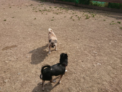 f:id:roukenhome-ann:20190512192857j:plain