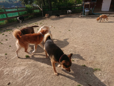 f:id:roukenhome-ann:20190512192903j:plain