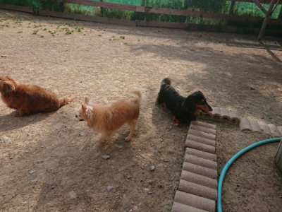 f:id:roukenhome-ann:20190512192928j:plain