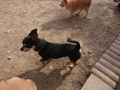 f:id:roukenhome-ann:20190512192936j:plain