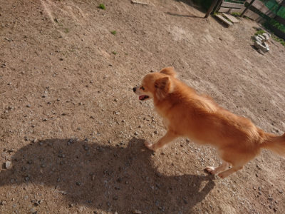 f:id:roukenhome-ann:20190512192948j:plain