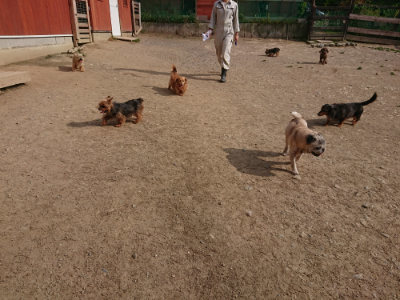 f:id:roukenhome-ann:20190512192955j:plain