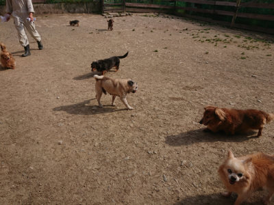 f:id:roukenhome-ann:20190512193001j:plain