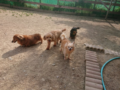 f:id:roukenhome-ann:20190512193011j:plain