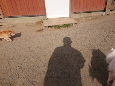 f:id:roukenhome-ann:20190512193018j:plain