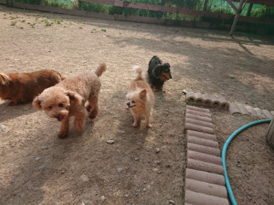 f:id:roukenhome-ann:20190512193030j:plain