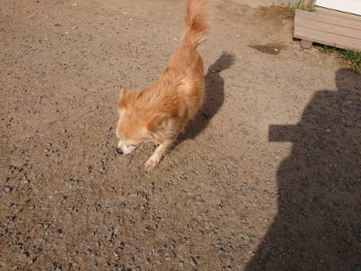f:id:roukenhome-ann:20190512193036j:plain