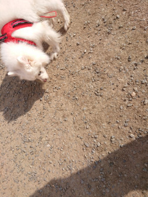 f:id:roukenhome-ann:20190512193042j:plain