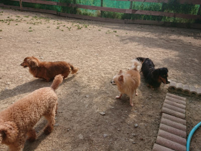 f:id:roukenhome-ann:20190512193046j:plain