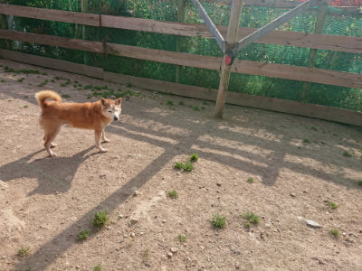 f:id:roukenhome-ann:20190512193052j:plain