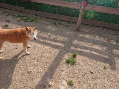 f:id:roukenhome-ann:20190512193057j:plain