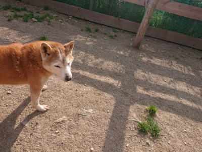 f:id:roukenhome-ann:20190512193102j:plain