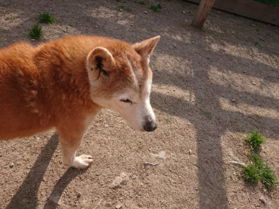f:id:roukenhome-ann:20190512193117j:plain